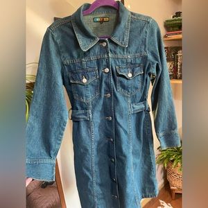 90s Vintage Kitsch Denim Button Up Dress (L)